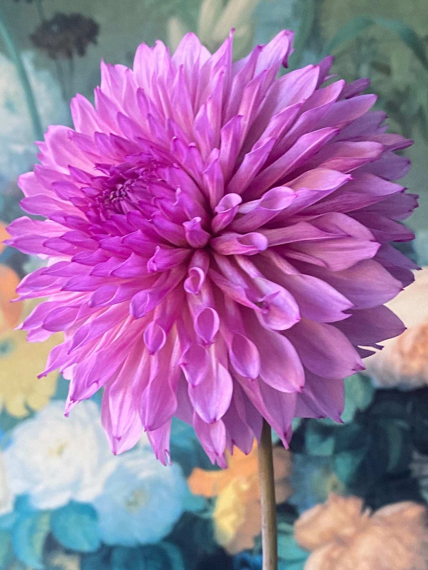 Lee's Flute Loop Lavender