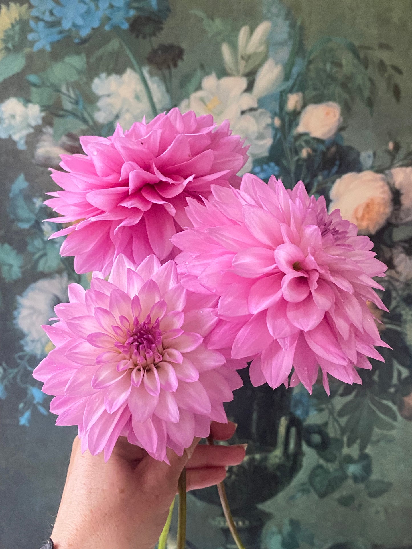 Bloomquist Fantastic